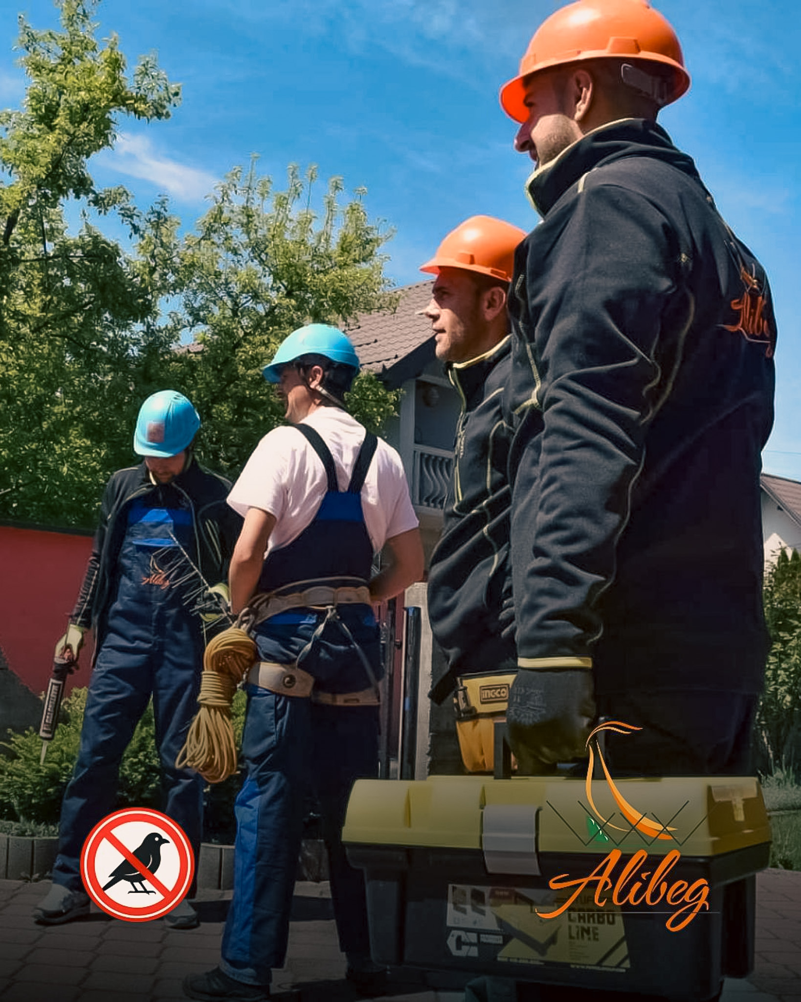 Zaštita kuća od lastavica