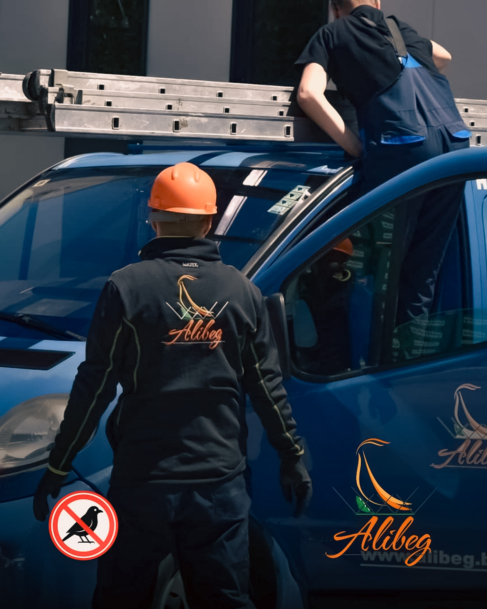 Zaštita oluka od ptica