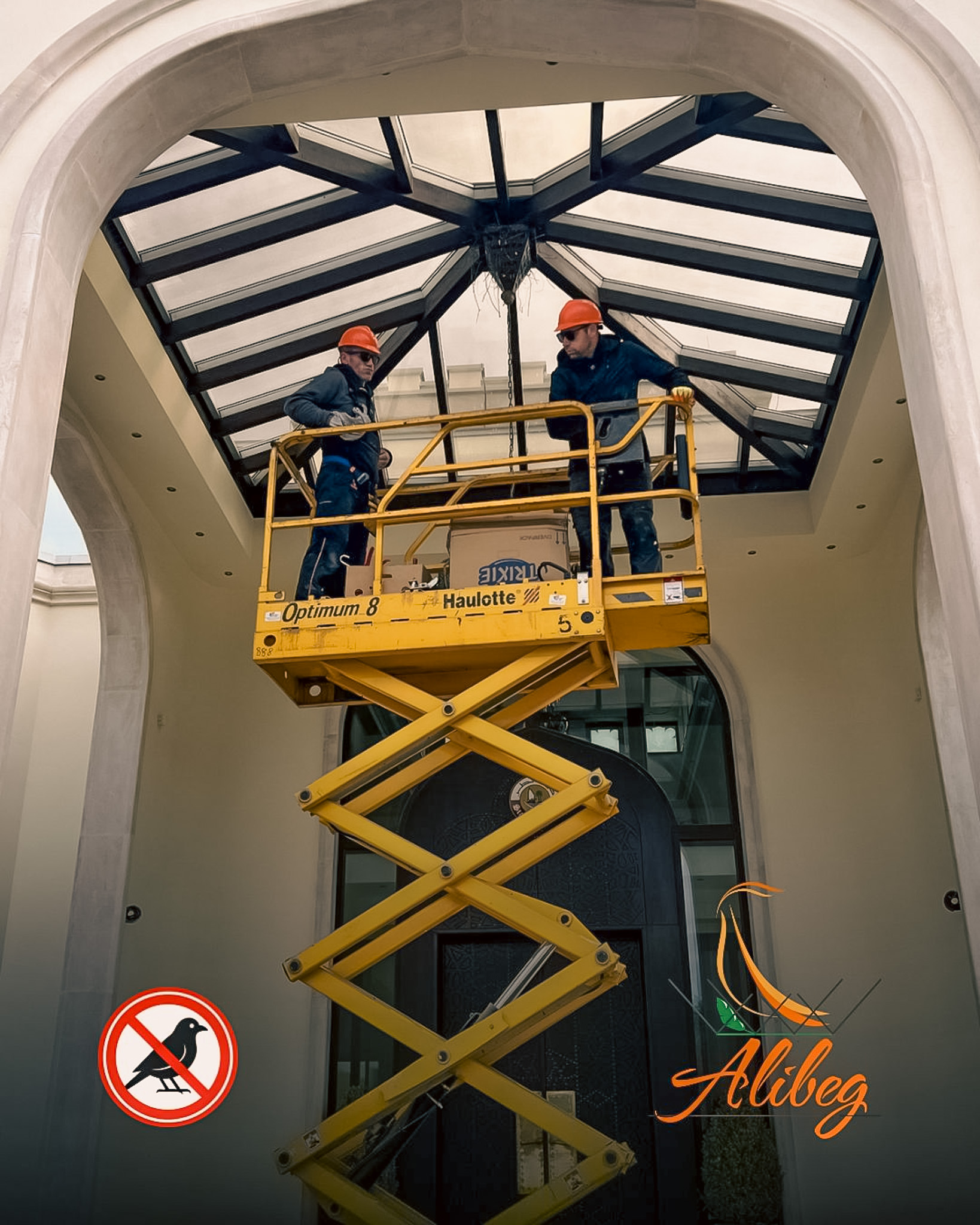 Zaštita potkrovlja i badža od ptica