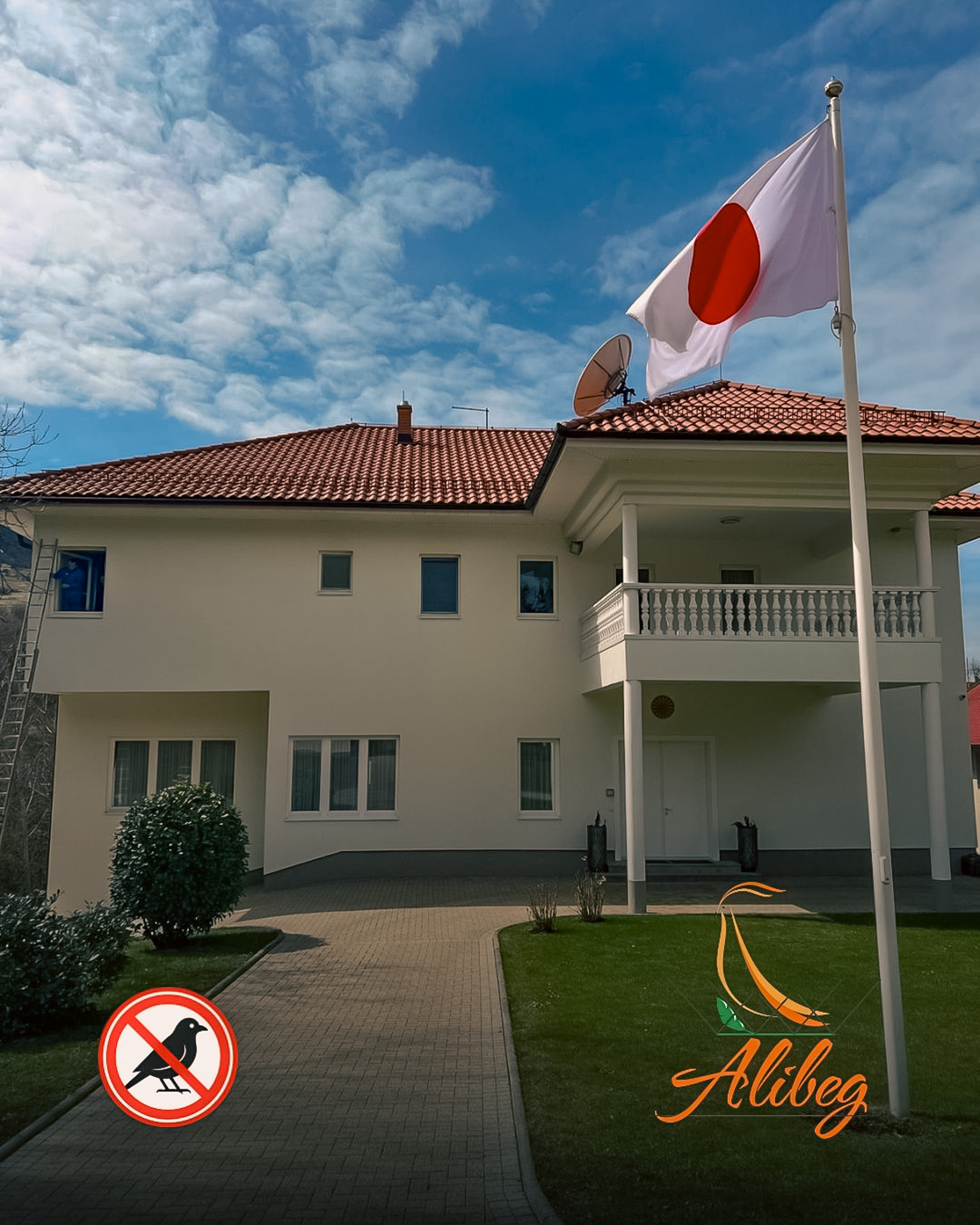 Zaštita fasade od djetlića