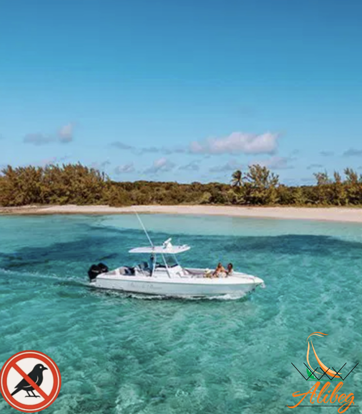 Zaštita brodova i plaža od ptica