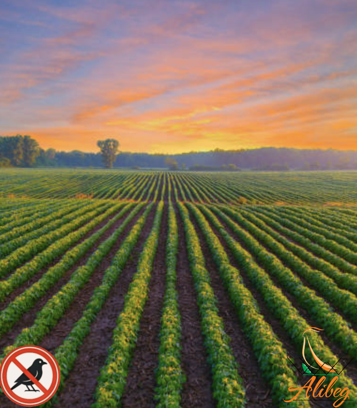 Zaštita farmi od ptica