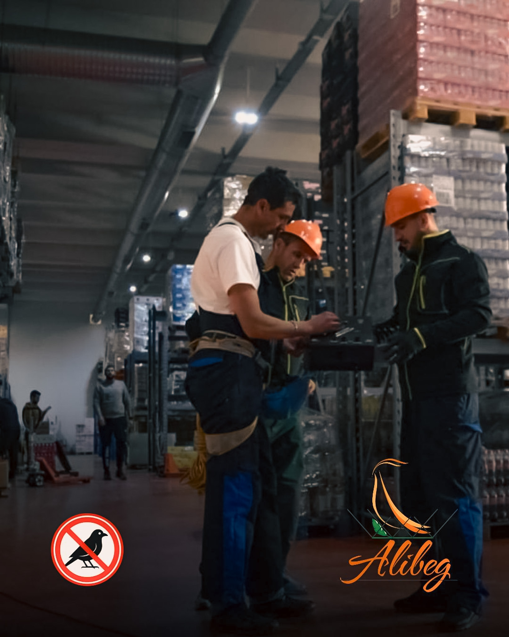 Zaštita skladišta od ptica