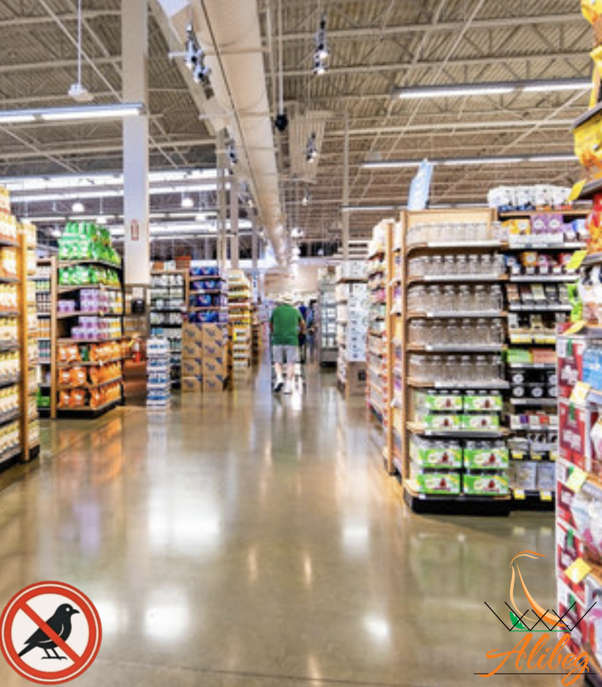 Zaštita marketa od ptica