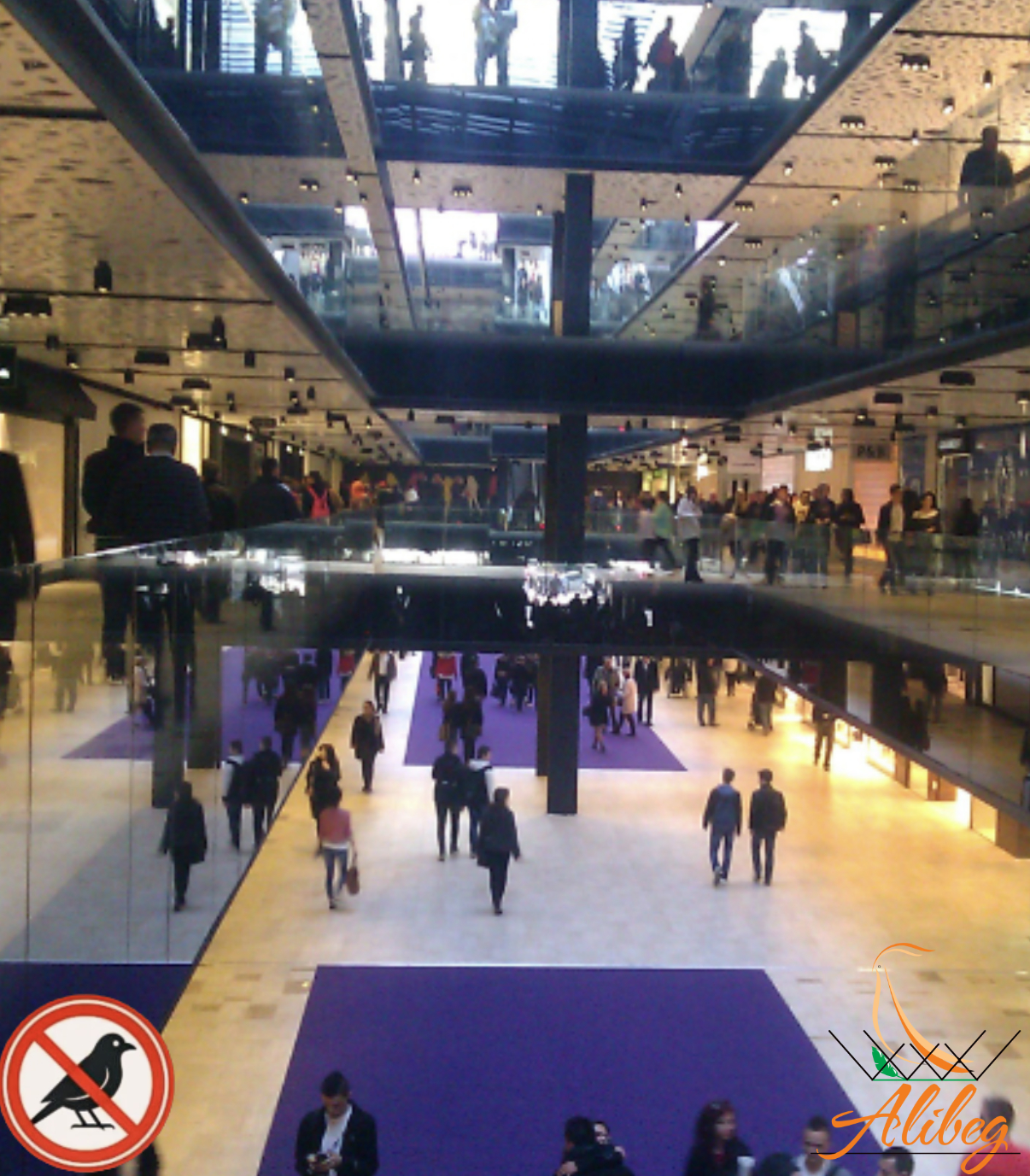 Zaštita tržnih centara od ptica